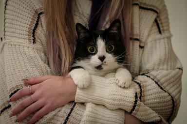 Happy pet