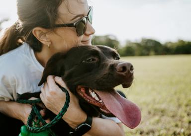 Happy pet