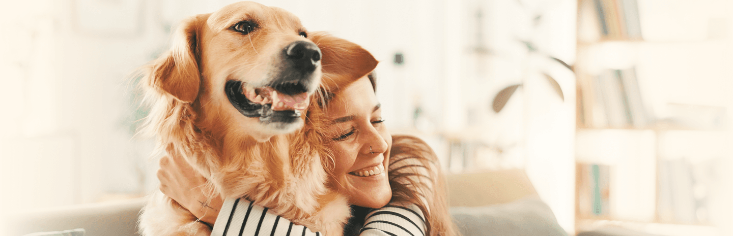 Happy dog